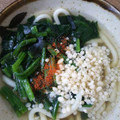 つよまり's cooksnap of when they made 簡単白だしdeうどん.