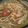 CoffeeCoco's cooksnap of when they made めんたいこあんかけたまごとじうどん.