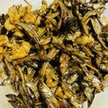 mikimoon's cooksnap of when they made 5分で完成！簡単おせち・くるみ入り田作り.