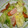 kiyofish's cooksnap of when they made ソーセージとキャベツのマヨチーズ炒め.