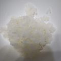 みみ母's cooksnap of when they made お米の炊き方.