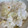 snow012's cooksnap of when they made ゆりねとほたての炊き込みごはん.