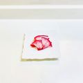 MadameーTco's cooksnap of when they made 色鮮やか！紫大根（京むらさき）の甘酢漬け.