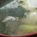 あゆたっくん's cooksnap of when they made 簡単ぽかぽか！大根と生姜のみぞれ味噌汁.