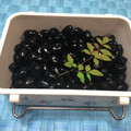 ☆りお＊みらい☆'s cooksnap of when they made 簡単！しわ無し！ふっくら黒豆は水筒で♪.