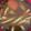 クックHB0OYQ☆'s cooksnap of when they made 残り物のカレーをリメイク！カレーうどん.