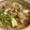papikun's cooksnap of when they made 簡単！素無しでキムチ鍋.