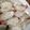 猫まんま☆'s cooksnap of when they made そのまんまえびしゅうまい♪.