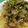 クック3K0769☆'s cooksnap of when they made 納豆とエビのパスタ.