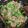 トラビスくんママ♡'s cooksnap of when they made 節約❢簡単❣ニラ入り♡そぼろ❢.