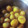 シマリスかあさん's cooksnap of when they made 栗のたいたん.