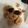 sansgras's cooksnap of when they made おから100%!!固めクッキー.
