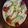 TATOCO's cooksnap of when they made 子供達も大好き！生春巻きのサラダ.