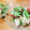 pali's cooksnap of when they made 簡単！皮つき林檎サラダ☆ハニーマスタード.