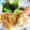 のり子のおかず♪'s cooksnap of when they made 簡単！豚のしょうが焼き☆お弁当にも♪.