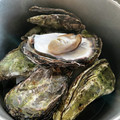 ゆかりりりー's cooksnap of when they made 超簡単に牡蠣をぷっくりと圧力鍋で蒸す.