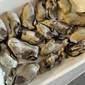 ゆかりりりー's cooksnap of when they made 加熱用牡蠣の個冷凍.