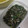 クックプ～'s cooksnap of when they made 大根の葉とちりめんじゃこの簡単ふりかけ.