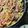 ふゆみっこ's cooksnap of when they made お正月に！関東風！すき焼きの割り下.