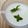 piko-rin's cooksnap of when they made 栃木名物　レモン牛乳.