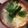 ベティ３'s cooksnap of when they made 塩味たまご雑煮.