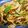 putimiko's cooksnap of when they made きのことハムのトマトソースパスタ.