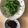 クックBLTENE☆'s cooksnap of when they made 春です♫ 菜の花おひたし　辛子醤油で.