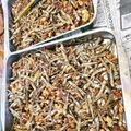 まなまんま's cooksnap of when they made レンジで☆くるみだらけの田作り.