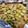 吉祥子's cooksnap of when they made おせちの一品、数の子とひたし豆の宝漬け.