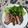 七分袖's cooksnap of when they made 炊飯器でらくらく煮豚.
