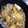 ユカtoマオマオ's cooksnap of when they made とろとろ卵の豚とじ丼.