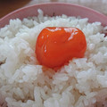 世千たまちゃん's cooksnap of when they made 卵黄のめんつゆ漬け.