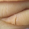葉月優希's cooksnap of when they made ●味付け数の子●.
