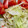 クックぷー☆'s cooksnap of when they made レタスともやしのうま塩サラダ.
