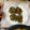 Amerixx's cooksnap of when they made サクサク美味しい人参の葉のかき揚げ.