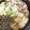 USACO66's cooksnap of when they made 大阪人の特別な日のすき焼き.