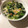 さゆゆゆこ's cooksnap of when they made とろ～り♪小松菜のかに玉あんかけ.