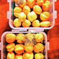 クックSCDBG8☆'s cooksnap of when they made サクっと♡プチサイズのシュー皮.