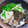 Wakka♪'s cooksnap of when they made とろろそば （うどん）.