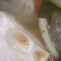 あかぷり's cooksnap of when they made 【お雑煮】白だしで簡単おいしい♪.