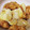 ちょちょこ✫'s cooksnap of when they made 鶏とお餅の揚げ出し さっぱりおろしポン酢.