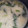 ブチュチュンパ's cooksnap of when they made オートミールで作る鮭とほうれん草のお粥.
