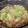 月✳Iris's cooksnap of when they made 味がしみしみ★柔らか鶏すき焼き.