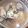 lisa109's cooksnap of when they made あさり潮ラーメン♪（あさり塩ラーメン）.