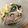 USACO66's cooksnap of when they made 簡単★豚肉と水菜のさっと煮.