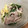 USACO66's cooksnap of when they made 簡単★豚肉と水菜のさっと煮.