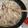 Sac’HiNa's cooksnap of when they made 簡単！豚ヒレ肉＆きのこ✿クリーム煮込み✿.