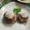 M130018's cooksnap of when they made ポン酢でサッパリ＊しいたけの肉詰め＊.