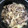クック4WKYNU☆'s cooksnap of when they made 旨みタップリ♡簡単白菜と豚肉のクタクタ煮.