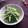 haruku221's cooksnap of when they made もやしと水菜の炒め物.
